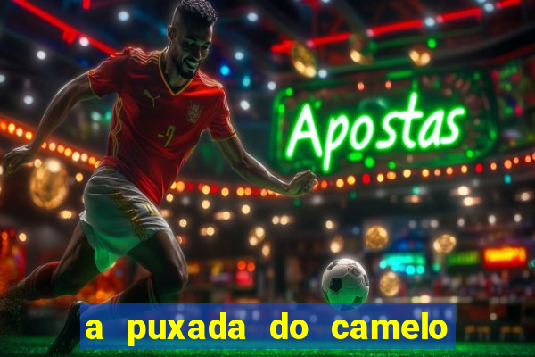 a puxada do camelo no jogo do bicho